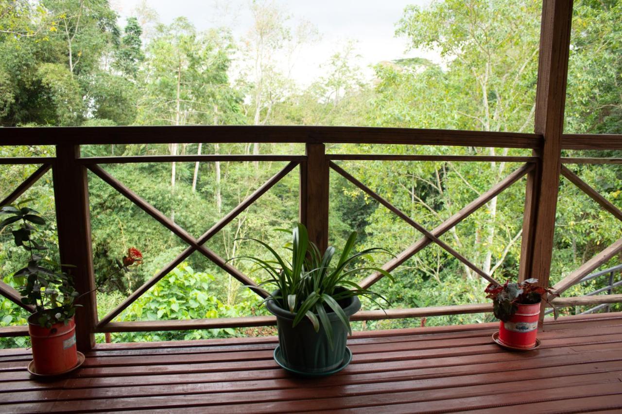 Madalena Eden Valley Ecolodge And Farming מראה חיצוני תמונה